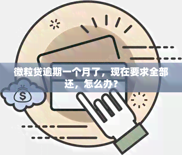 微粒贷逾期一个月了，现在要求全部还，怎么办？