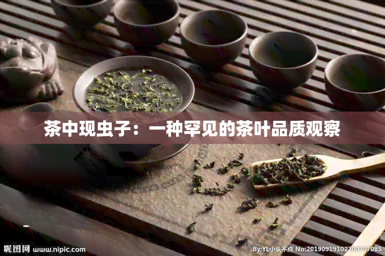 茶中现虫子：一种罕见的茶叶品质观察