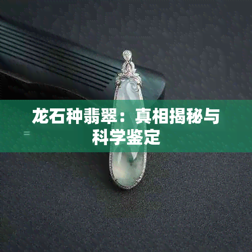 龙石种翡翠：真相揭秘与科学鉴定