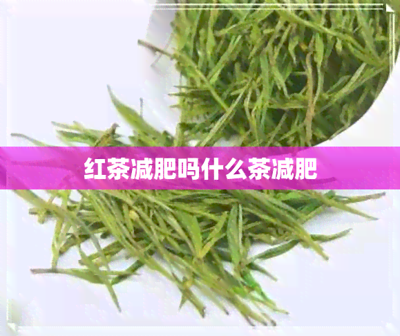 红茶减肥吗什么茶减肥