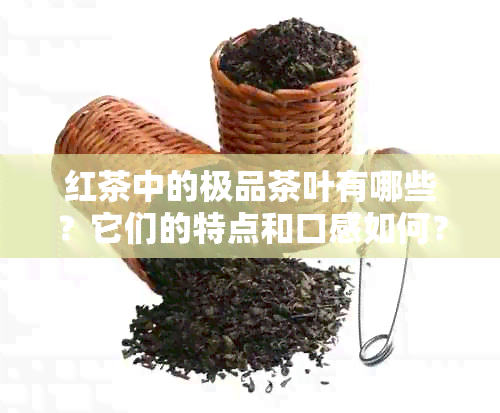 红茶中的极品茶叶有哪些？它们的特点和口感如何？