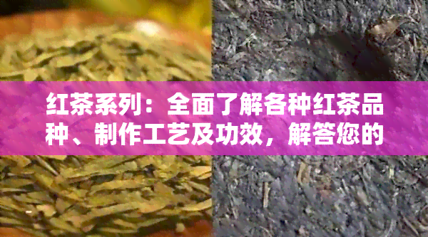 红茶系列：全面了解各种红茶品种、制作工艺及功效，解答您的红茶疑问