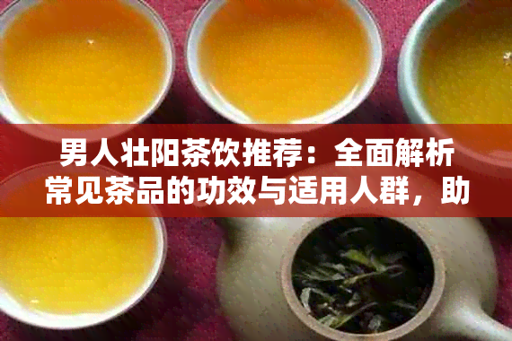 男人壮阳茶饮推荐：全面解析常见茶品的功效与适用人群，助力男性健生活