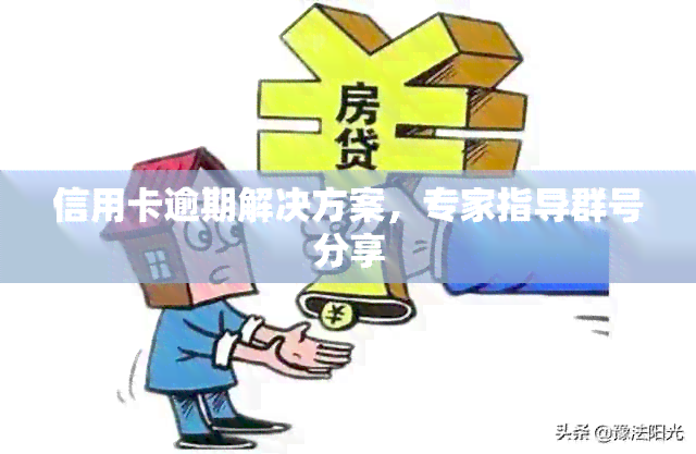 信用卡逾期解决方案，专家指导群号分享