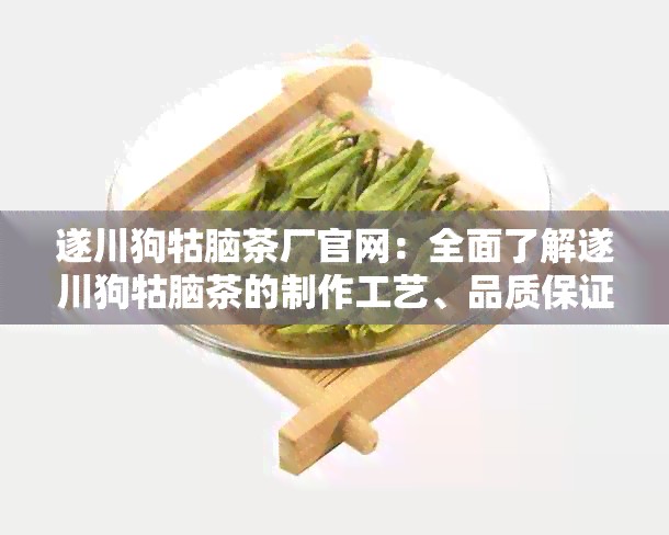 遂川狗牯脑茶厂官网：全面了解遂川狗牯脑茶的制作工艺、品质保证及购买渠道