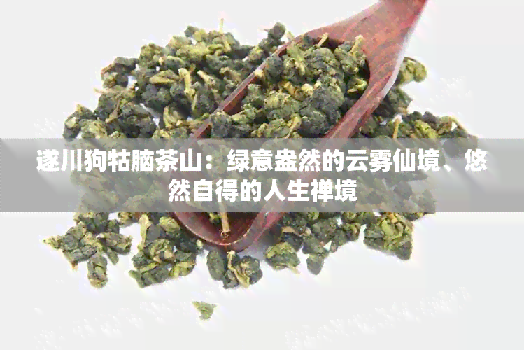 遂川狗牯脑茶山：绿意盎然的云雾仙境、悠然自得的人生禅境