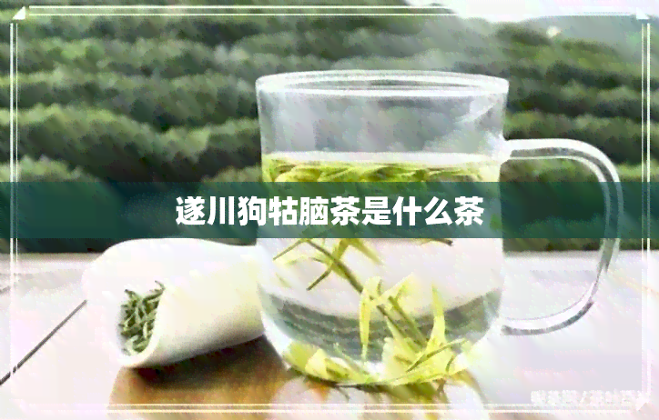 遂川狗牯脑茶是什么茶