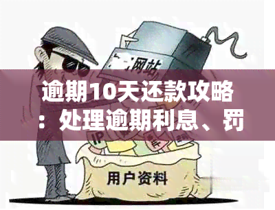 逾期10天还款攻略：处理逾期利息、罚息和信用记录的关键步骤