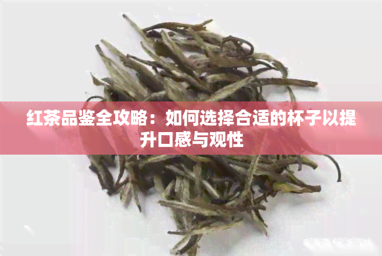 红茶品鉴全攻略：如何选择合适的杯子以提升口感与观性