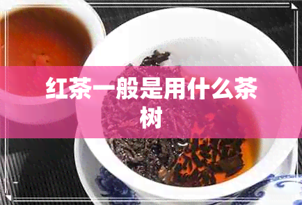 红茶一般是用什么茶树