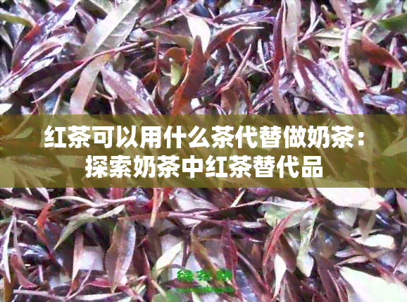 红茶可以用什么茶代替做奶茶：探索奶茶中红茶替代品