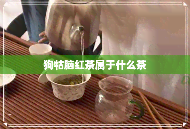 狗牯脑红茶属于什么茶