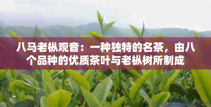 八马老枞观音：一种独特的名茶，由八个品种的优质茶叶与老枞树所制成