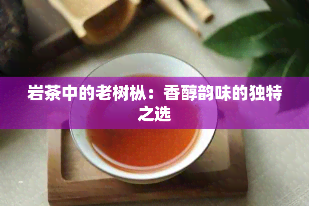 岩茶中的老树枞：香醇韵味的独特之选