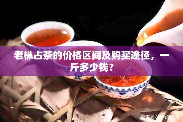 老枞占茶的价格区间及购买途径，一斤多少钱？