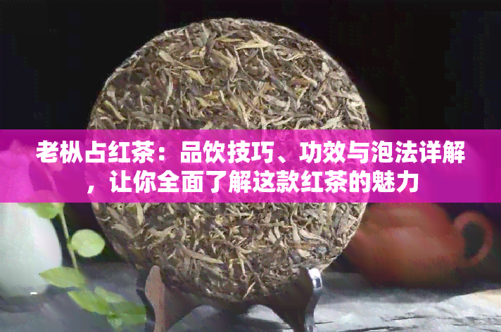 老枞占红茶：品饮技巧、功效与泡法详解，让你全面了解这款红茶的魅力