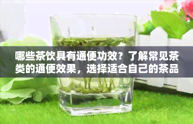 哪些茶饮具有通便功效？了解常见茶类的通便效果，选择适合自己的茶品