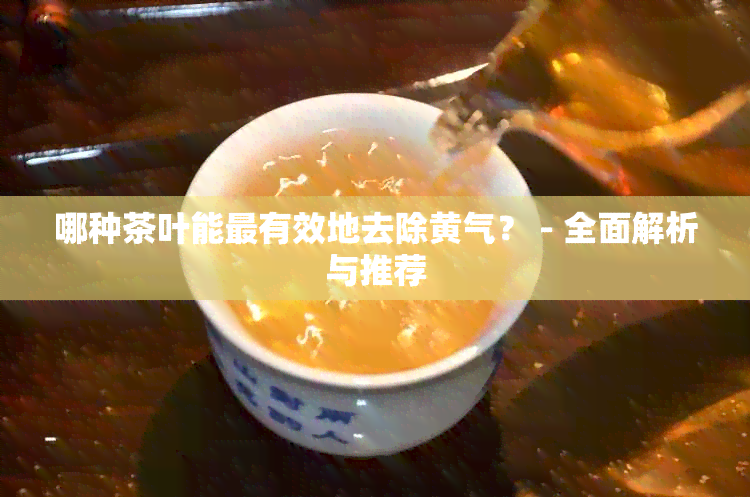 哪种茶叶能最有效地去除黄气？ - 全面解析与推荐