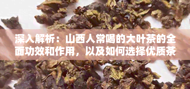 深入解析：山西人常喝的大叶茶的全面功效和作用，以及如何选择优质茶叶