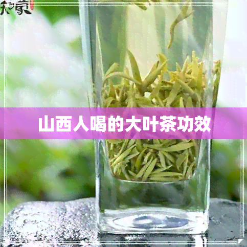 山西人喝的大叶茶功效