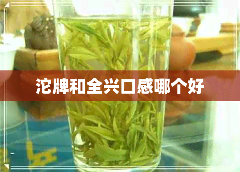 沱牌和全兴口感哪个好