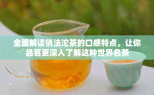 全面解读销法沱茶的口感特点，让你品茗更深入了解这种世界名茶