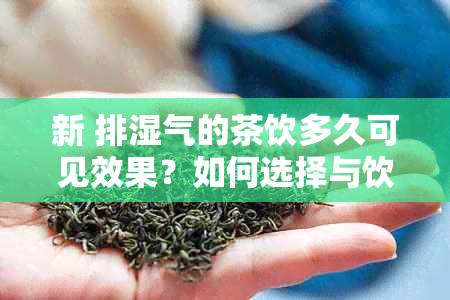 新 排湿气的茶饮多久可见效果？如何选择与饮用才能更有效？