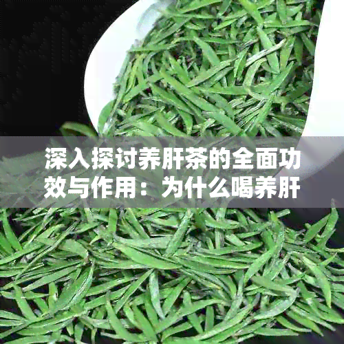 深入探讨养肝茶的全面功效与作用：为什么喝养肝茶有益健？