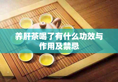 养肝茶喝了有什么功效与作用及禁忌