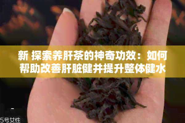 新 探索养肝茶的神奇功效：如何帮助改善肝脏健并提升整体健水平