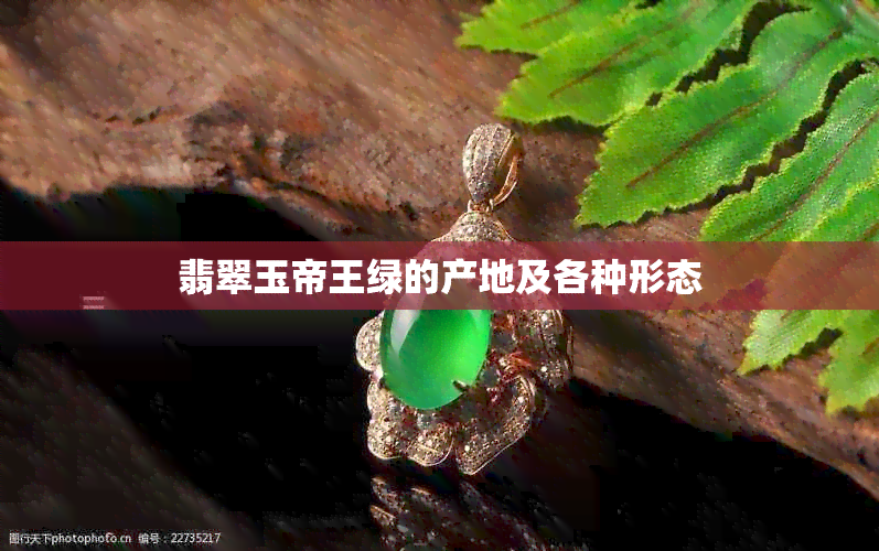 翡翠玉帝王绿的产地及各种形态