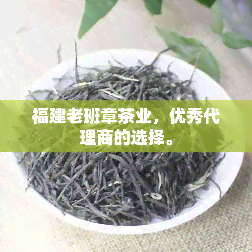 福建老班章茶业，优秀代理商的选择。