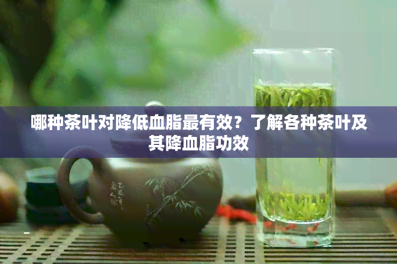 哪种茶叶对降低血脂最有效？了解各种茶叶及其降血脂功效