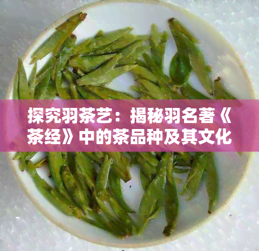 探究羽茶艺：揭秘羽名著《茶经》中的茶品种及其文化内涵