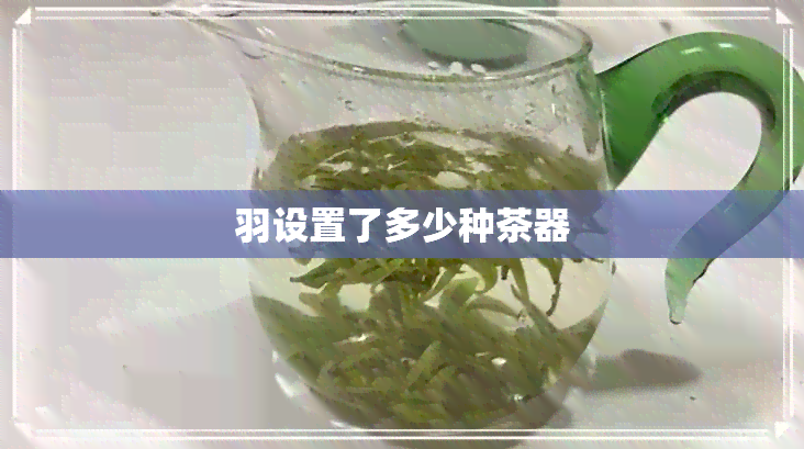 羽设置了多少种茶器