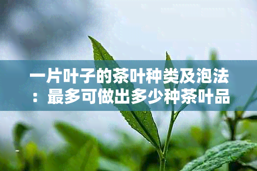 一片叶子的茶叶种类及泡法：最多可做出多少种茶叶品种？