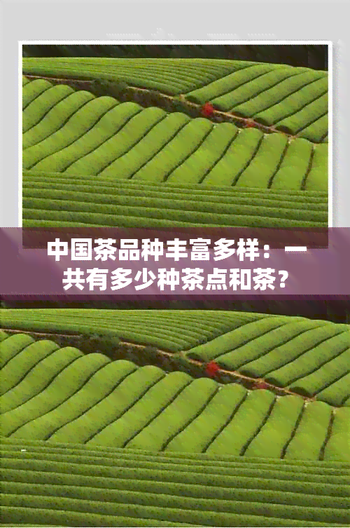 中国茶品种丰富多样：一共有多少种茶点和茶？