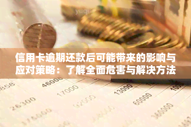 信用卡逾期还款后可能带来的影响与应对策略：了解全面危害与解决方法