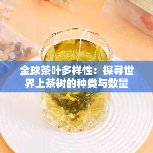 全球茶叶多样性：探寻世界上茶树的种类与数量