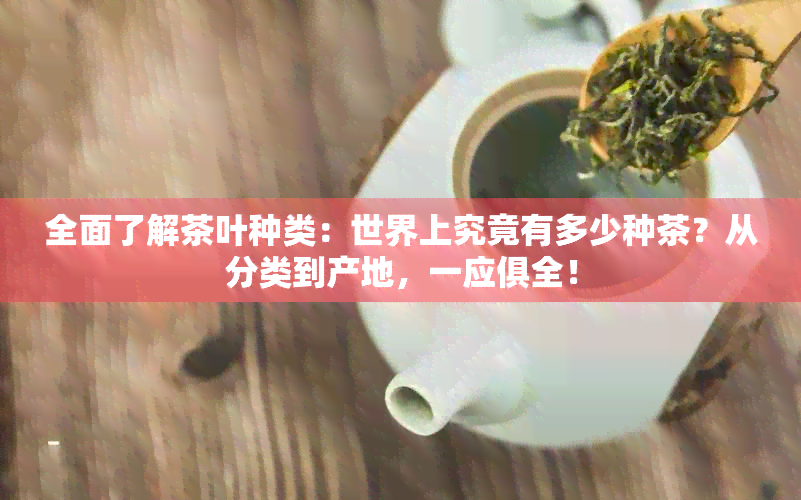 全面了解茶叶种类：世界上究竟有多少种茶？从分类到产地，一应俱全！