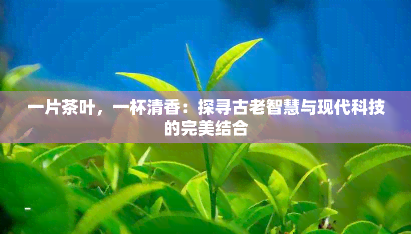 一片茶叶，一杯清香：探寻古老智慧与现代科技的完美结合