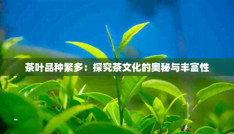 茶叶品种繁多：探究茶文化的奥秘与丰富性