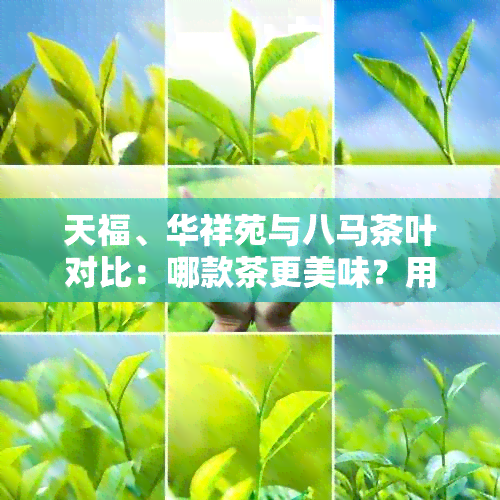 天福、华祥苑与八马茶叶对比：哪款茶更美味？用户口碑评价如何？