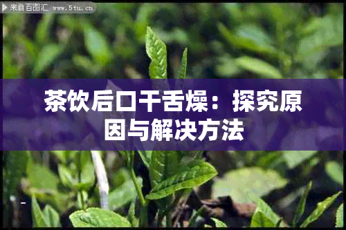 茶饮后口干舌燥：探究原因与解决方法