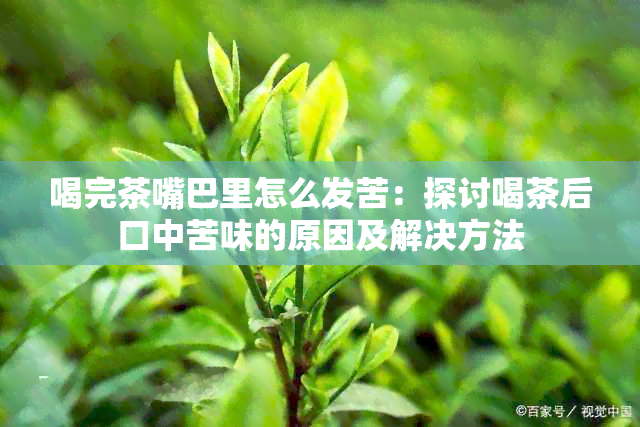 喝完茶嘴巴里怎么发苦：探讨喝茶后口中苦味的原因及解决方法