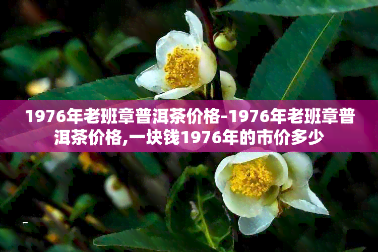 1976年老班章普洱茶价格-1976年老班章普洱茶价格,一块钱1976年的市价多少