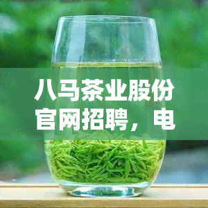 八马茶业股份官网招聘，电话和首页信息。