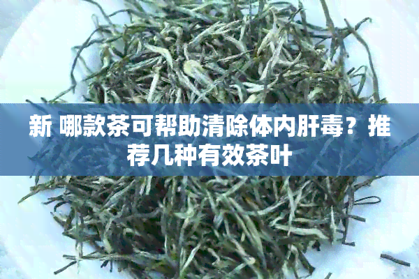 新 哪款茶可帮助清除体内肝？推荐几种有效茶叶