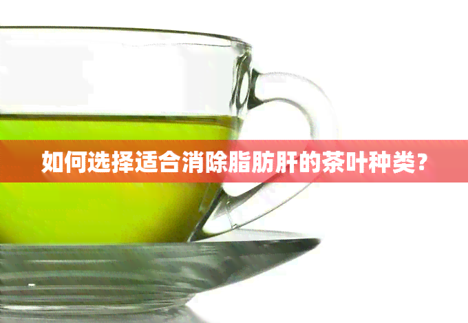 如何选择适合消除脂肪肝的茶叶种类？