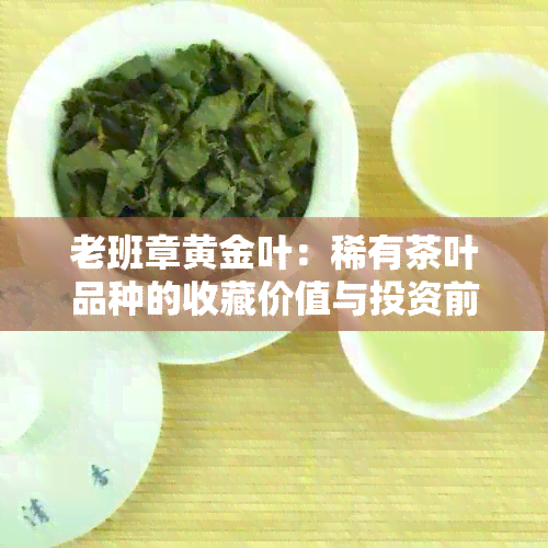 老班章黄金叶：稀有茶叶品种的收藏价值与投资前景探讨